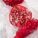 ザクロ・レッドジンジャーと泡のイメージ